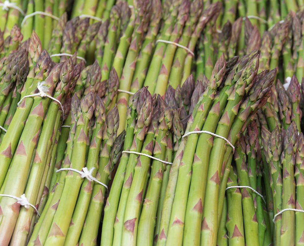 Asparagus Whole, IQF