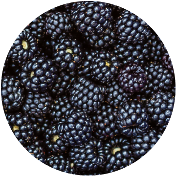 Blackberries Whole