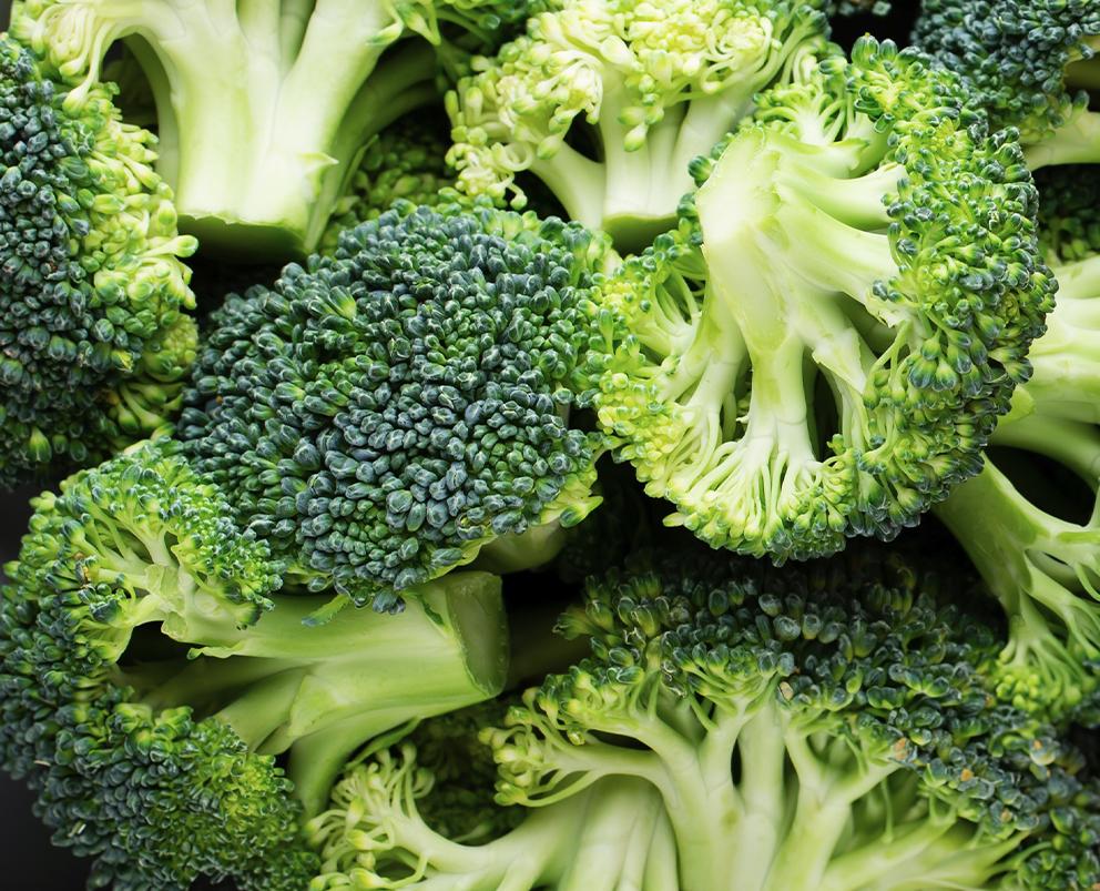 Broccoli Florets 40/60, IQF