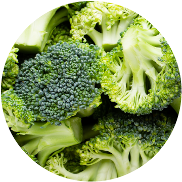Broccoli Florets, IQF