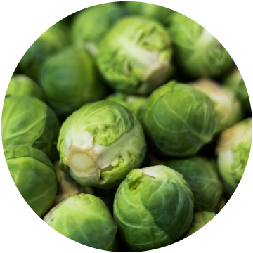 Brussel Sprouts, IQF