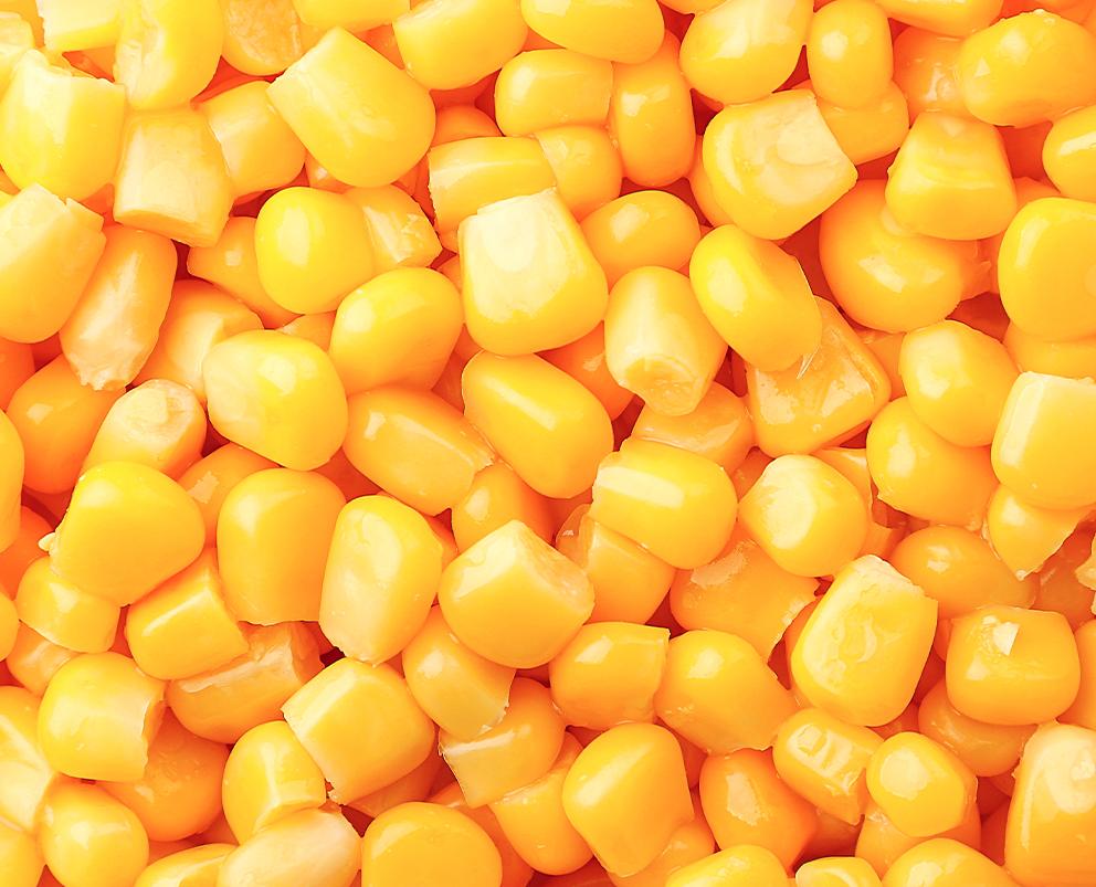 Corn Kernel