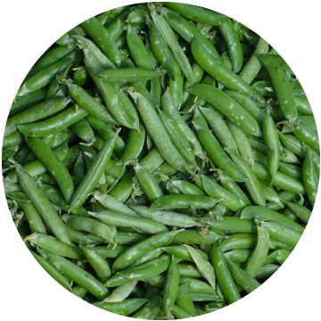 Cut Green Beans, IQF