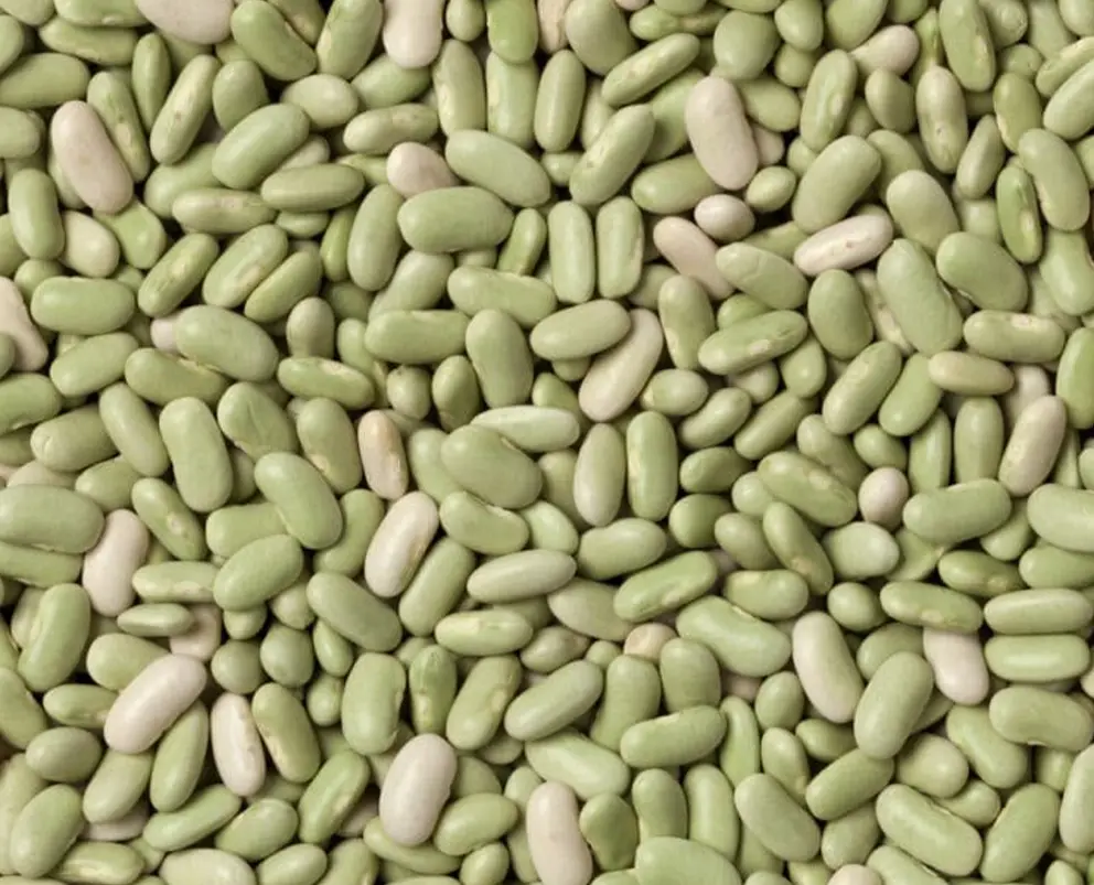 Flageolets (Lima) Beans, IQF