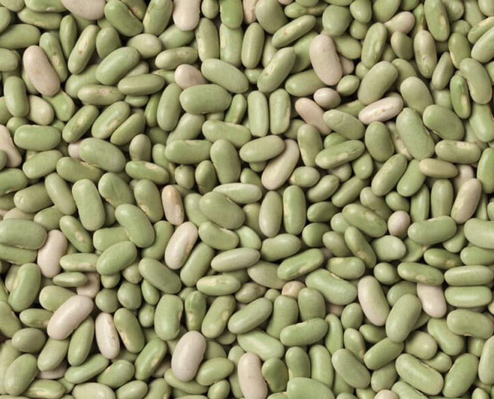 Flageolets (Lima) Beans, IQF