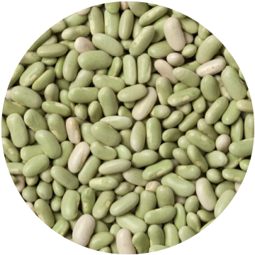 Flageolets (Lima) Beans, IQF
