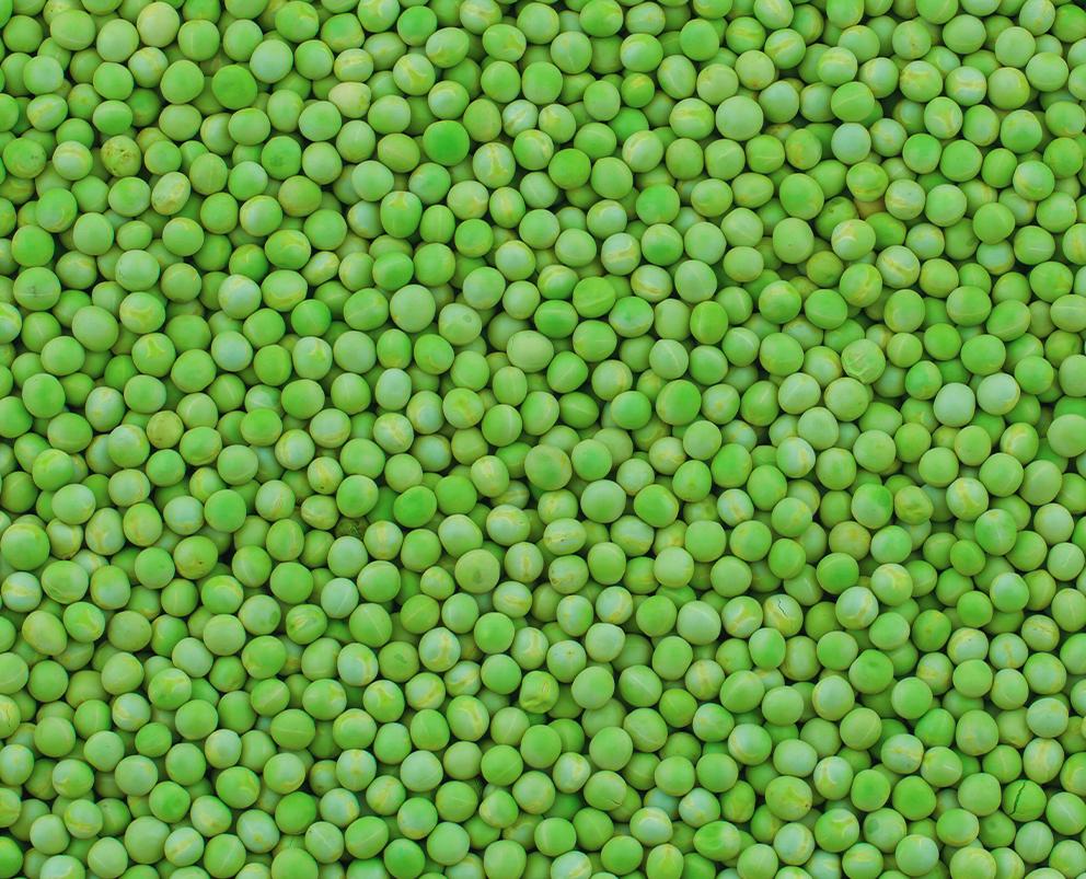 Green Peas Petit, IQF