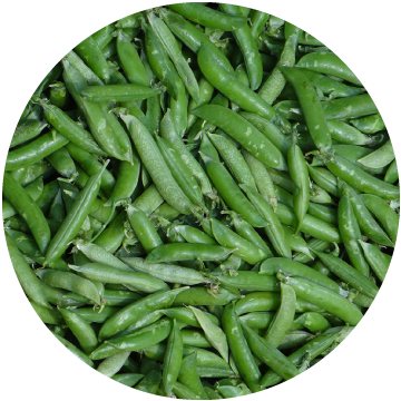 Green Beans Whole, Fine, IQF