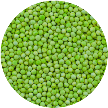 Green Peas Petit, IQF