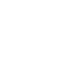 International Supplier