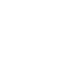 Regional Distributor