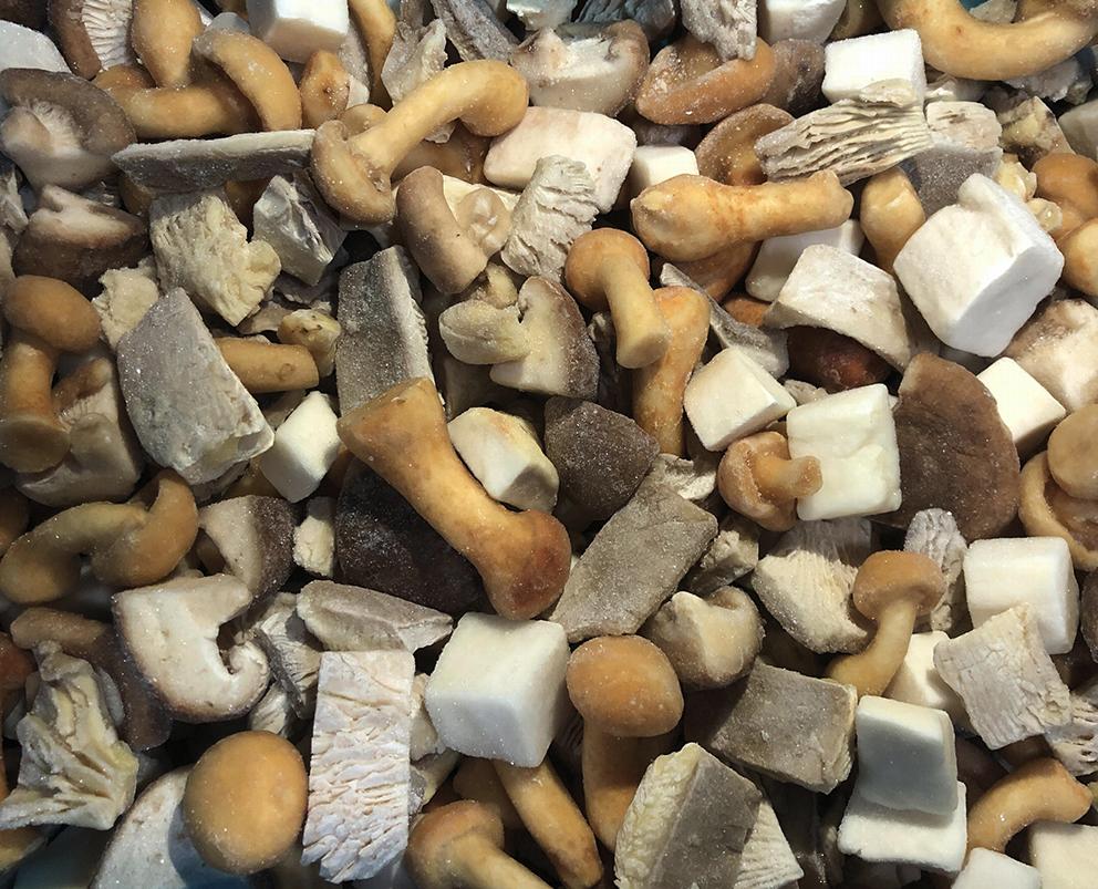 Mushroom Mixed Forest, IQF