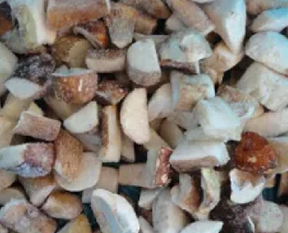 Mushroom Porcini, Cube, IQF