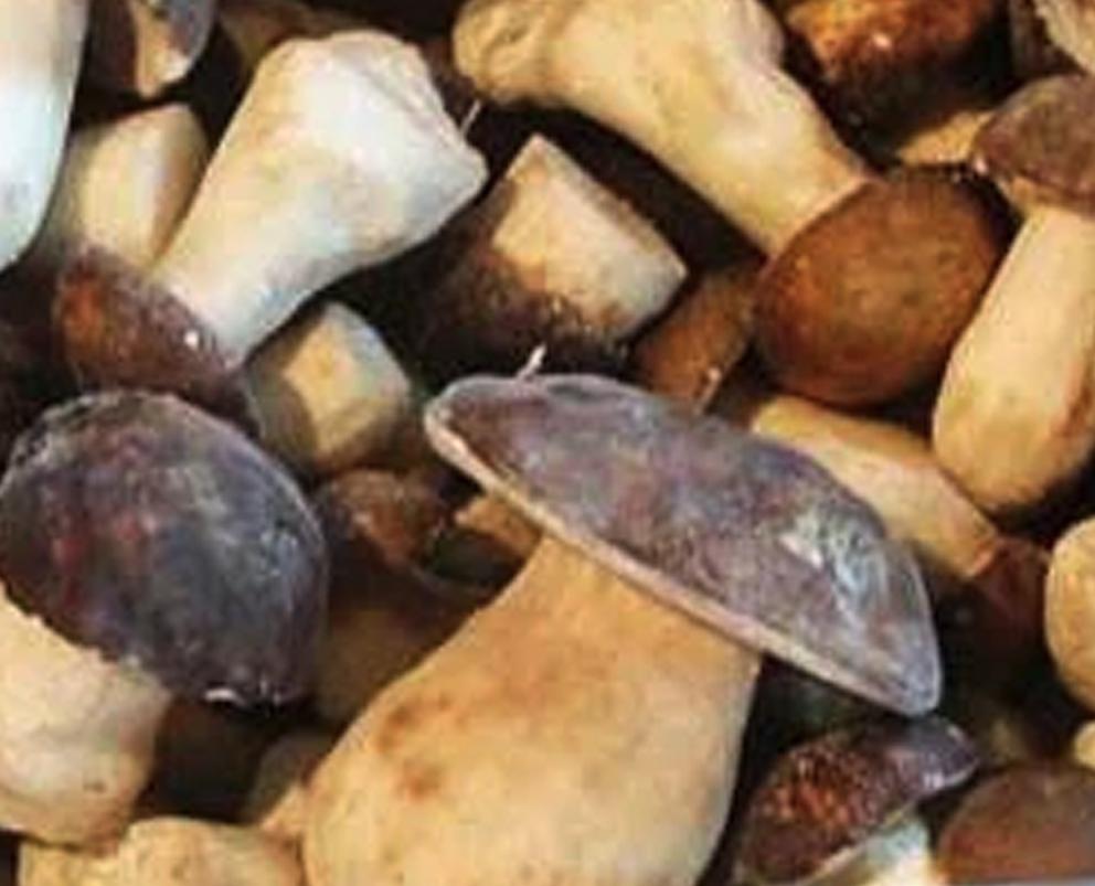 Mushroom Porcini, Whole, IQF