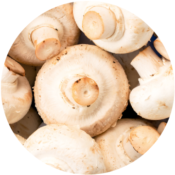 Mushroom Caps, IQF