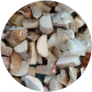 Mushroom Porcini, Cubes IQF