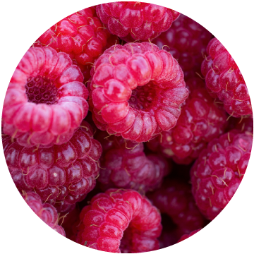 Raspberries Whole, IQF
