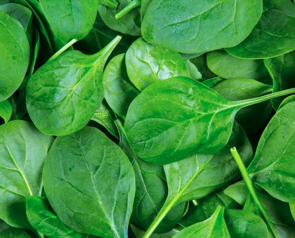 Spinach Leaf Portions, IQF