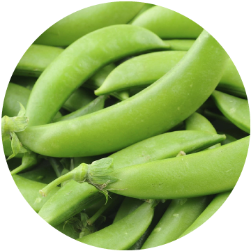 Sugar Snap Peas
