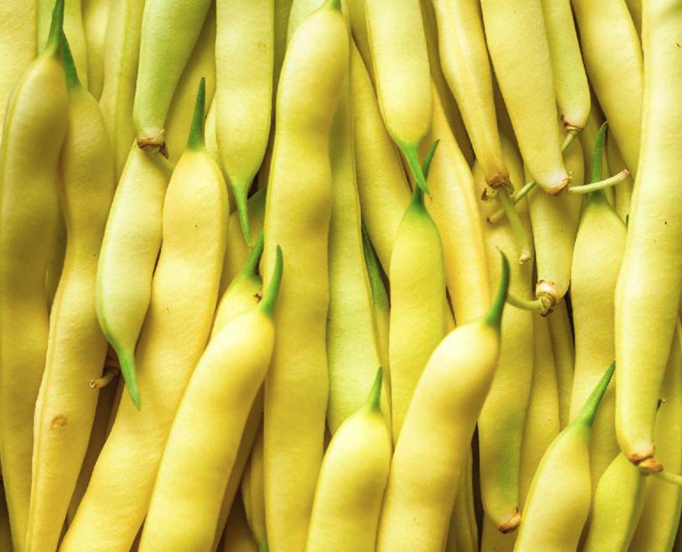 Wax Beans, IQF