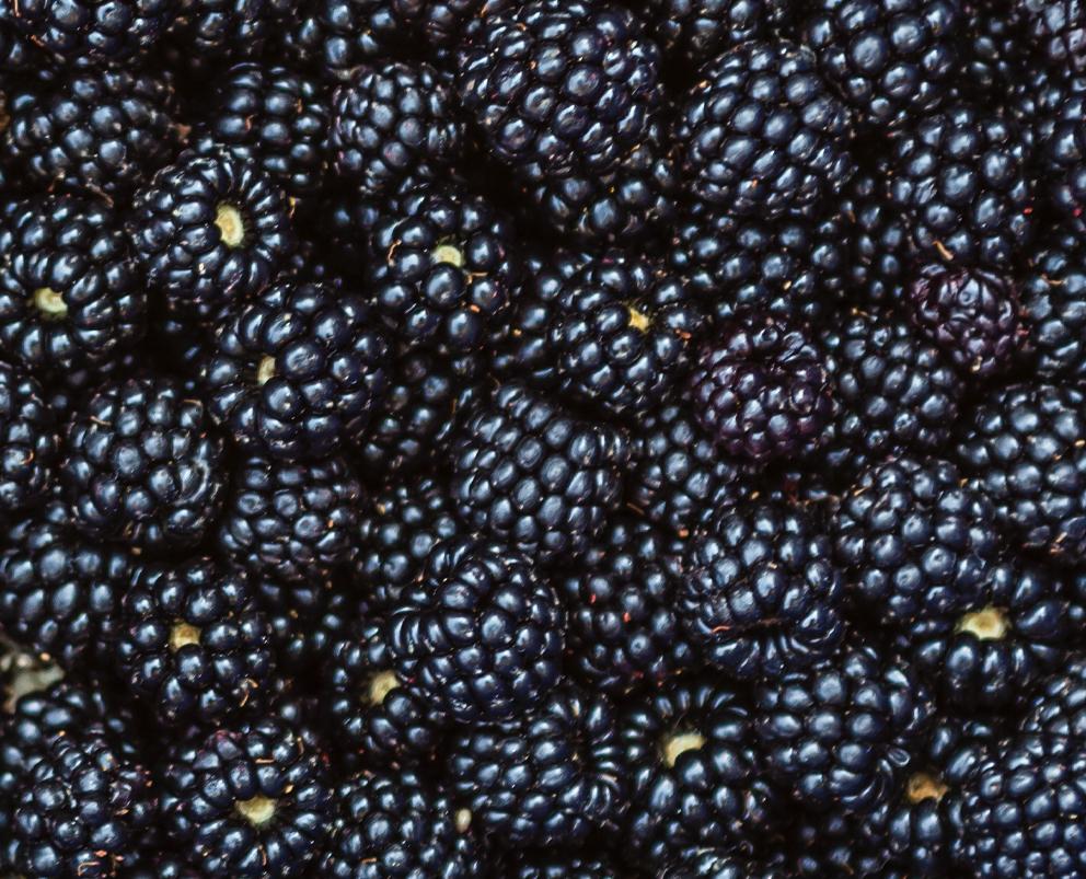 Blackberries Whole, IQF