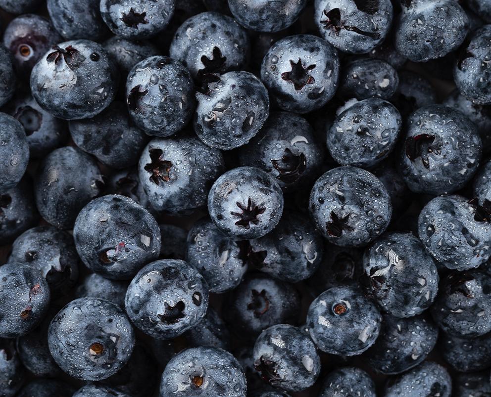 Blueberries, Whole IQF