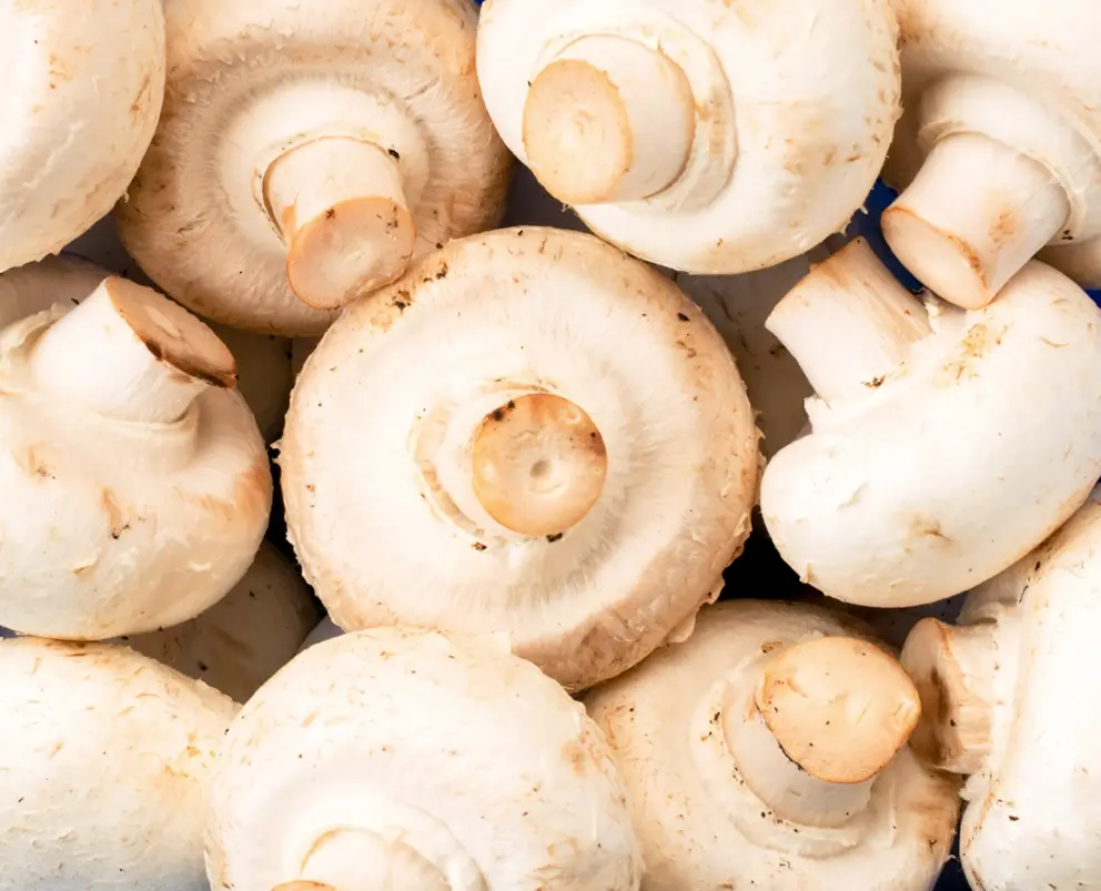 Mushroom Caps, IQF