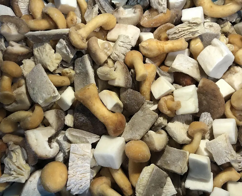 Mushroom Mixed Forest, IQF