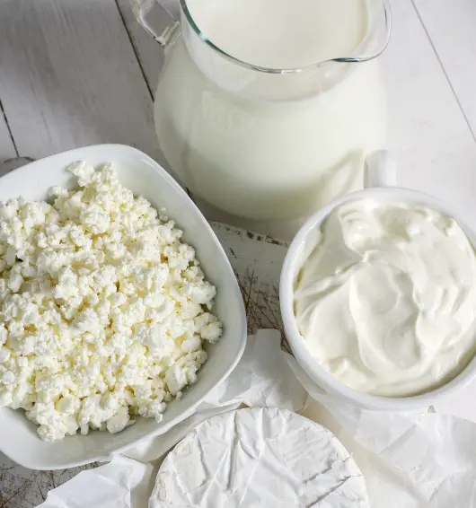 Dairy