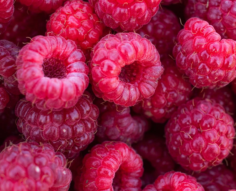 Raspberries Whole, IQF